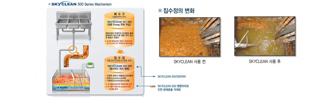 SKY CLEAN 유지방 분해제